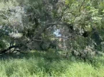 30d52576-6729-4580-a9d7-ebc79eeb2f7b.jpg · Terreno Residencial en Venta en Hacienda San Isidro Mazatepec