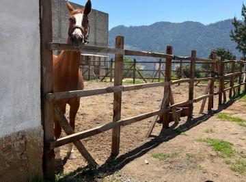 Rancho · 11471m² · Finca en Venta en Pueblo Tomatlán