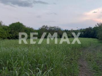 Terreno / Lote · 7562ha · Venta Terreno Uso Mixto, La Morita, Montemorelos Nuevo León, México. - (4)