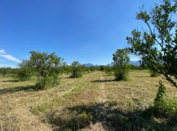Terreno / Lote · 3249m² · Venta Terreno Campestre de 3249 m² en Los Lirios Montemorelos Nuevo León - 1093