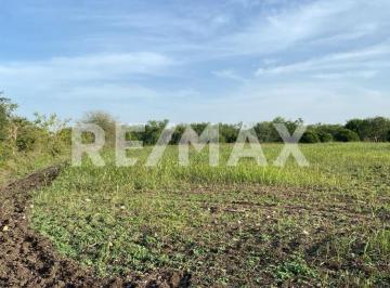 Terreno / Lote · 1494ha · Venta Terreno Campestre 1,494 m² en Congregacion Calles, Montemorelos Nuevo León, México. - (4)