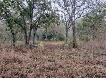 Terreno / Lote · 11000m² · Terreno en Allende