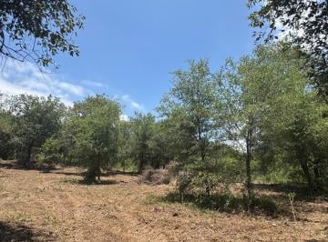 Terreno / Lote · 11000m² · Terreno en Allende