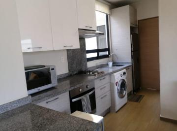 Departamento de 1 habitación, Cuajimalpa de Morelos · Se Renta Departamento Totalmente Amueblado