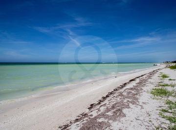 IMG_4821.JPG · Terreno Residencial en Venta en Pueblo Chicxulub Puerto