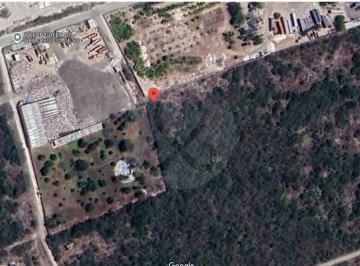 96156556-5e59-4a6a-b4cb-77889338da14 2.JPG · Terreno Comercial en Venta en Buenavista