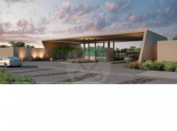 Terreno / Lote · Terreno Residencial en Venta en Pueblo San Francisco