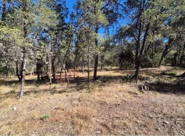 N/A · Venta de Terreno en Jame, Arteaga, Coahuila.