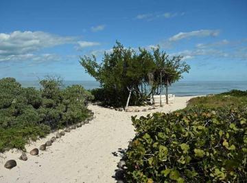 5743828a2f446e9f68b1197d03018812459610c5ed4d2d5f9a6c9257594549e3 · San Bruno, Tu Terreno de Playa en La Mejor Zona!