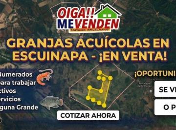 Terreno / Lote , Escuinapa · Granjas Acuicolas en Escuinapa - Producción, Ubicación y Capacidad en un Solo Lugar