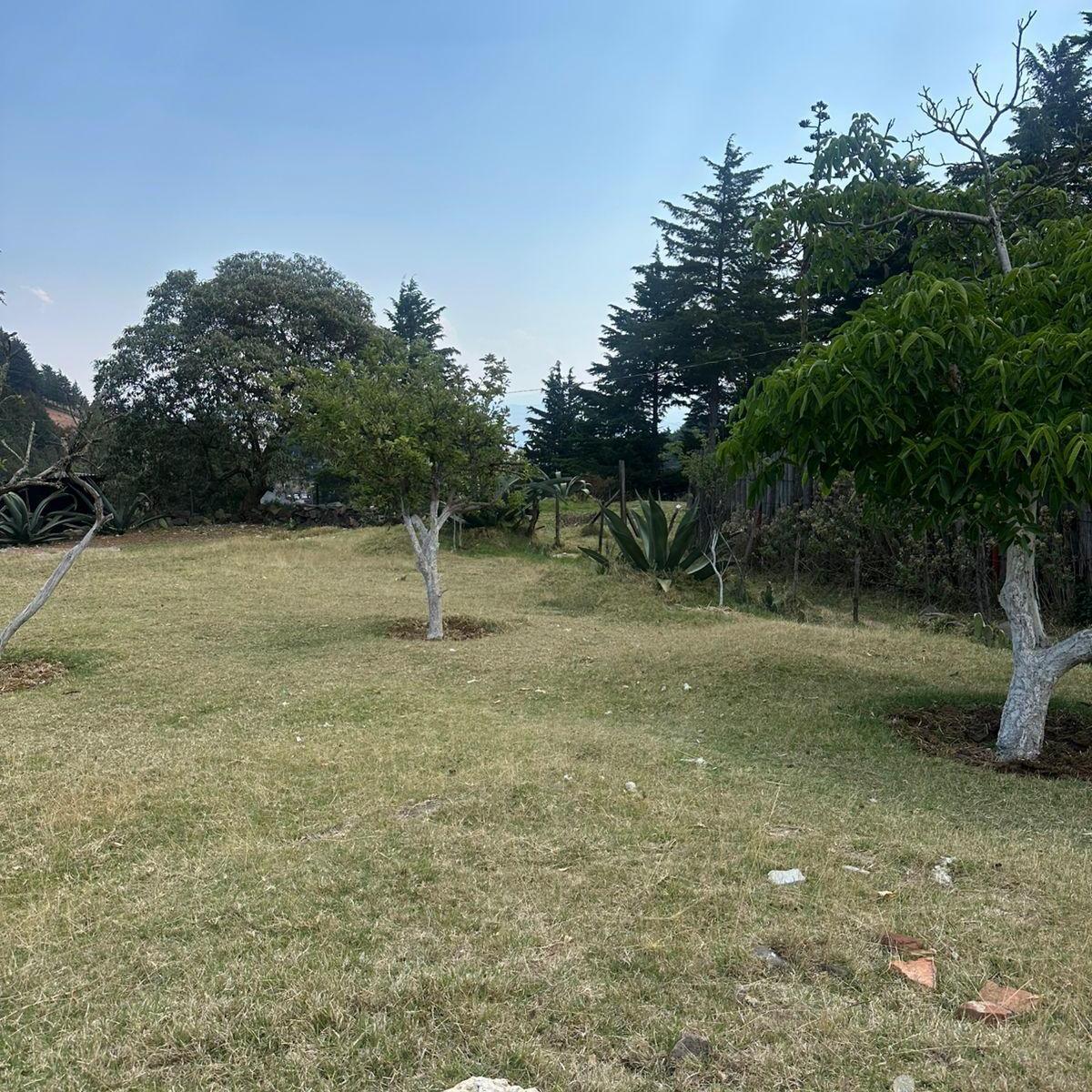 Terreno en Pueblo Magico El Oro