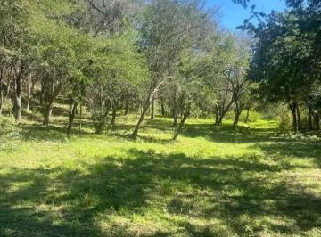 1 · Terreno en Venta en Lazarillos de Abajo, Allende Nl