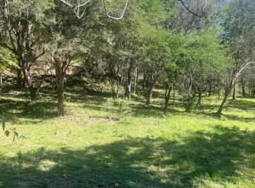 1 · Venta Terreno en Lazarillos de Abajo, Allende Nl