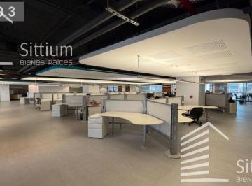 Oficina · 1502m² · 8 Estacionamientos · Oficina en Renta - Masaryk Piso 3 - 1502 m²