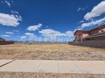 Terreno / Lote · 450m² · Terreno en Venta, Residencial Leones IV, Cd. Aldama Chihuahua