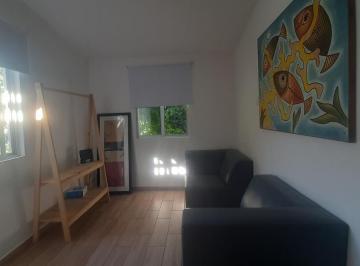 Living · Departamento - Fraccionamiento Playacar Fase II