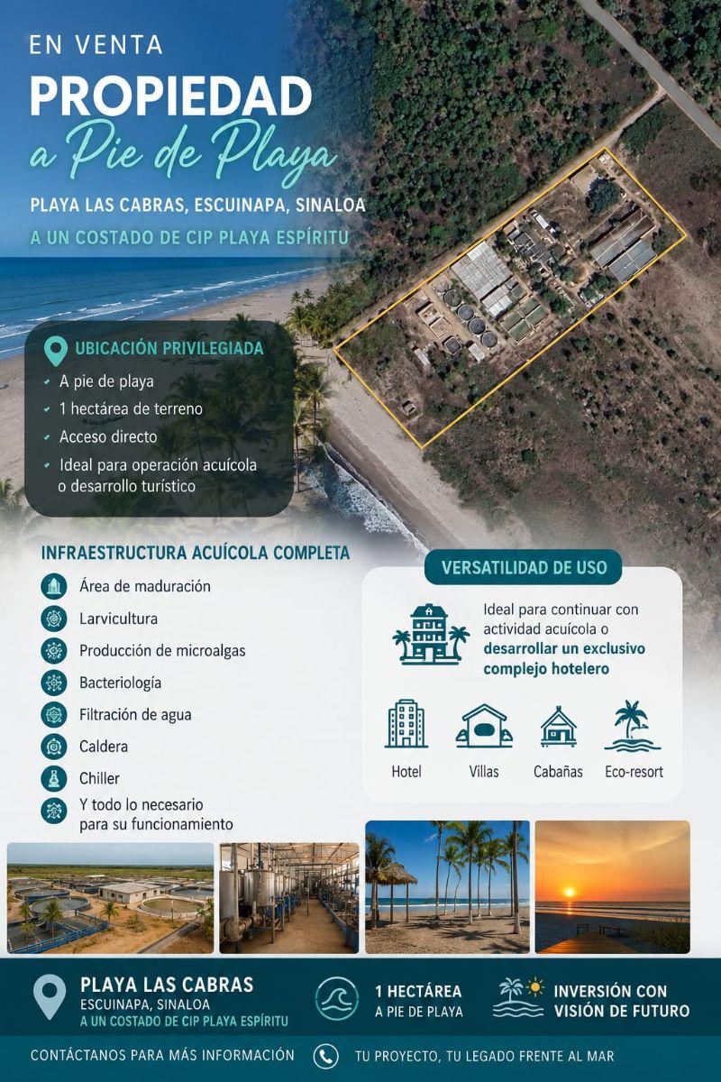 Aquaculture Laboratory for Sale in Escuinapa – Specialized Infrastructure Near Las Cabras Beach