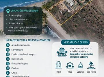 Terreno / Lote , Escuinapa · Laboratorio Acuicola en Escuinapa - Infraestructura Especializada Cerca Playa Las Cabras