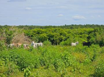 Villa · 436106m² · 1 Recámara · Rancho Las 3 Sss en Venta en Bacalar Quintana Roo