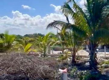 0f6465f8f6946ac3756e0af6fb37acfedd17c2d77d7b5e64a7a6d2f532d23dd6 · Vendo Terreno en Chelem, Progreso, Yucatan