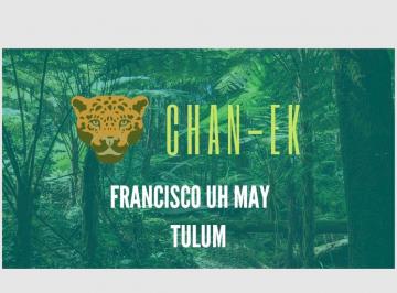 Terreno / Lote , Tulum · Terreno en Venta 800 m² a 4 Klm de La Playa $1,300 Mn X m² "Francisco Uh Maya" 40fr X 40 de Fondo.