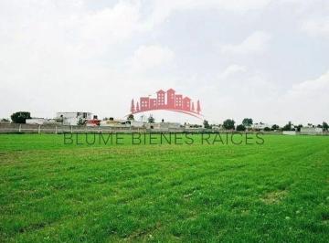 a693084615bba1bbdb6ec50b0844cb32517b8f2bbc49b1fd5f945a62c791a298 · Venta de Terreno, Santa Lucia, Chimalhuacán, Colindante con El Aeropuerto Aifa