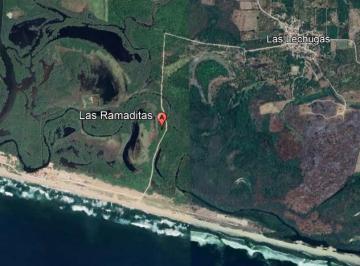 Terreno / Lote , San Marcos · Terreno Frente Al Mar en Guerrero Las Ramaditas