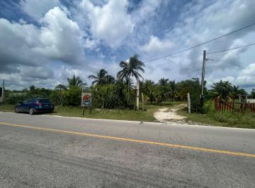 Terreno / Lote , Dzilam de Bravo · 3 Terrenos a Orilla de Mar, y Ex Rancho con 100 Ha de Superficie en Venta, Dzilam de Bravo