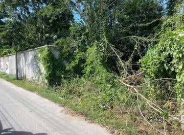 Terreno / Lote · 5000m² · Terreno en Venta en Campeche: Imi 1