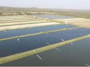 Terreno / Lote · 200000m² · Granja Acuicola Sistema Intensivo en La Ciudad de Campeche