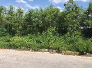 Terreno / Lote · 5008m² · Terreno en Renta en Campeche: Area Ah Kim Pech