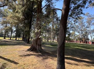 8537d6d1-f43c-403e-8ea4-8948953b4bd9.jpg · Terreno Residencial en Venta en San Agustín