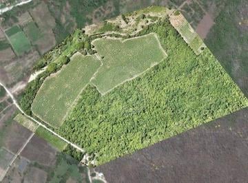 EB-VG6906.jpg · Terreno Residencial en Venta en Santa Maria Huatulco Centro
