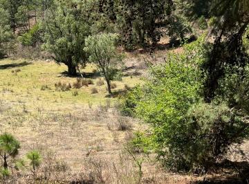 7b5a93c2-a96f-4eab-a9db-16fc77b07cf2.jpg · Terreno Residencial en Venta en Pueblo Atemajac de Brizuela