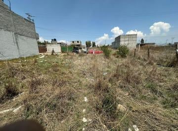 1000031441.jpg · Terreno Residencial en Venta en Santa María Tianguistengo