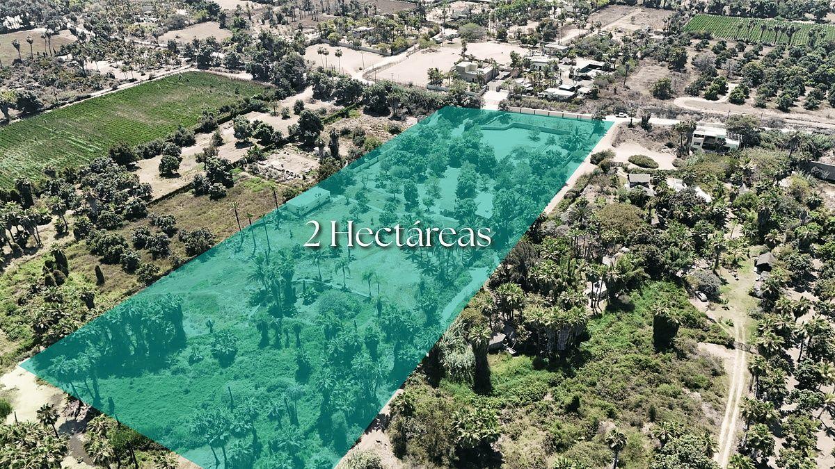Huerta Oasis
