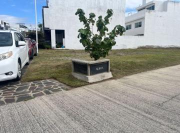 Terreno / Lote , Zapopan · Terreno en Venta en Fonfagra, Valle Imperial, Zapopan