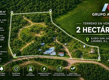 Rancho · 20000m² · Rancho - Linares