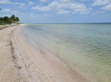 Terreno / Lote · 846m² · Terreno con 42 m Frente Al Mar de San Crisanto Yucatan