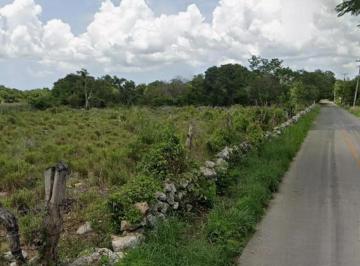 1 · Macroterreno en Venta Sobre Carretera de Acceso Directo a Dzemul