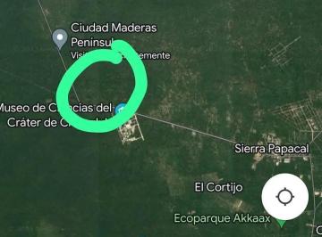 1 · Terreno de 1 Ha en Venta en Sierra Papacal