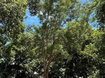 1 · Más de 5ha en Venta en La Reserva Cuxtal, Ideal Para Proyecto Turístico o Rancho