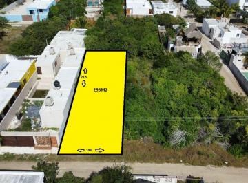 Terreno / Lote · 295m² · Terreno en Venta, en 3era Fila, Excelente Ubicación.
