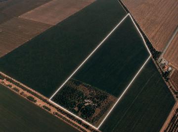 Terreno / Lote , Ahome · Hectáreas 100,000 m² en Venta en Los Mochis