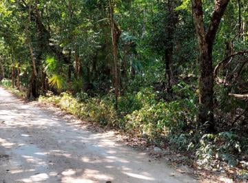 Terreno / Lote · 2000m² · Terreno Ecoturistico en Venta Akumal