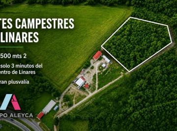 Terreno / Lote · 1500m² · Terreno - Linares