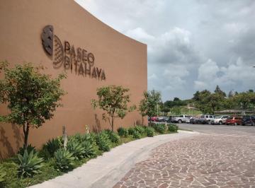 Departamento de 1 habitación, El Marqués · Departamento en Renta en Zibatá Querétaro, 1 Recámara, Estudio, Amenidades