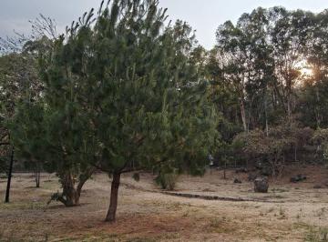 Terreno / Lote , San Pedro Cholula · Terreno de 255 m² en Venta, en Zerezotla