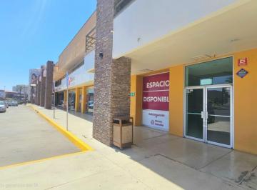 Local comercial · 105m² · Local Planta Baja en Plaza Cataviña - (4)