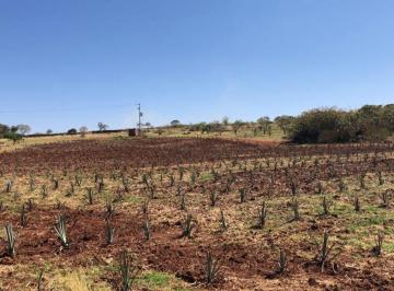 Terreno / Lote , Tepatitlán de Morelos · Rancho en Venta